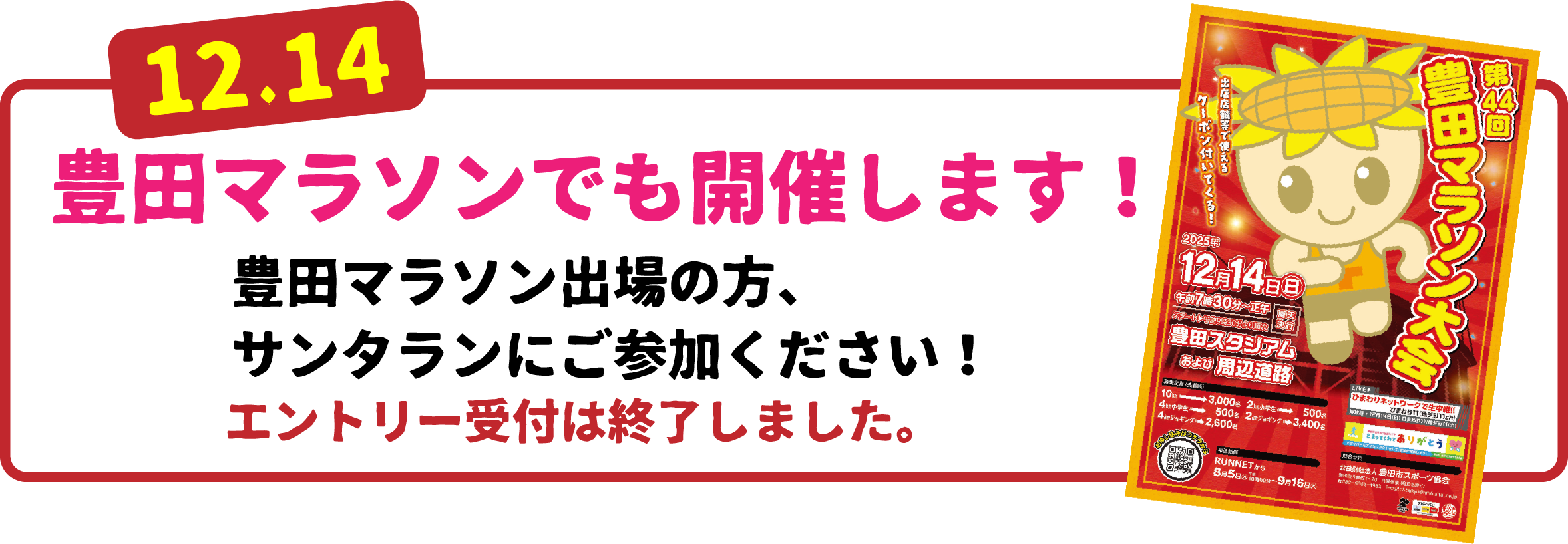 豊田マラソン